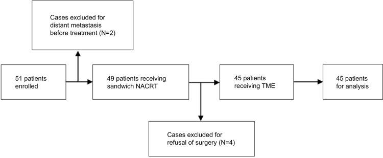 https://cdn.ncbi.nlm.nih.gov/pmc/blobs/5ae0/6188179/a05d5d2c9e53/cmar-10-4363Fig2.jpg
