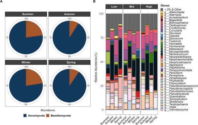 https://cdn.ncbi.nlm.nih.gov/pmc/blobs/5ae1/11573855/387e948769c9/248_2024_2455_Fig2_HTML.jpg
