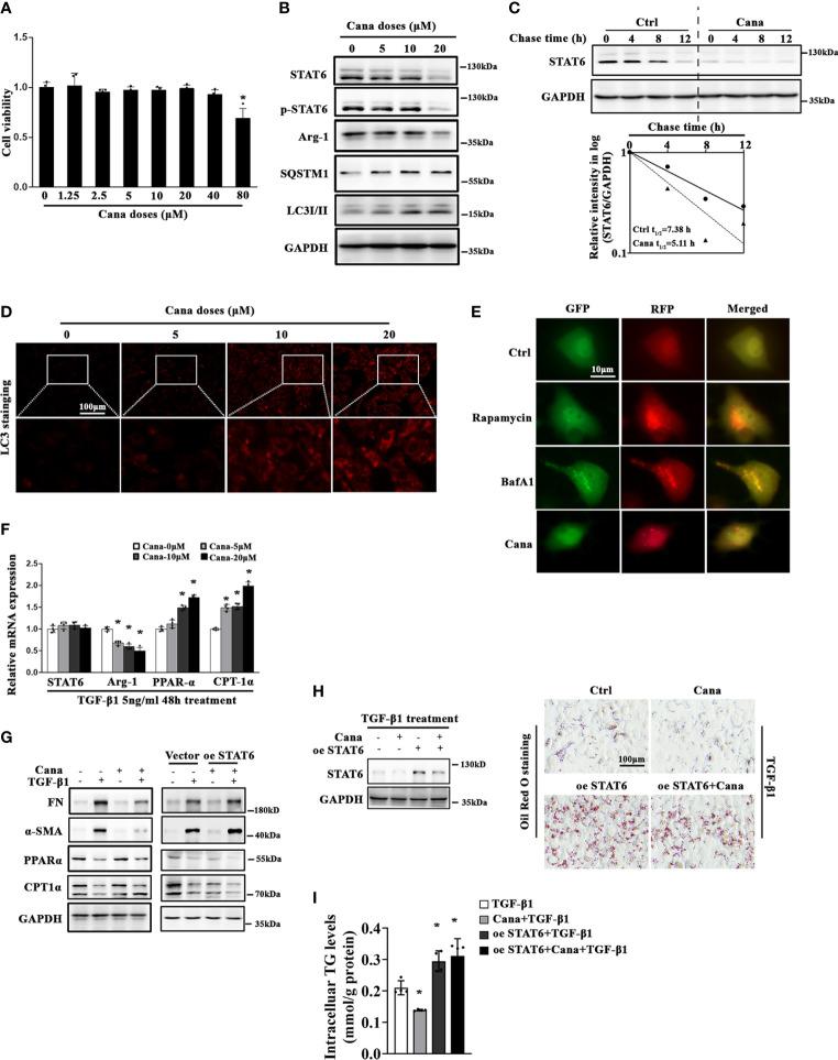 https://cdn.ncbi.nlm.nih.gov/pmc/blobs/5ae1/9845768/2ae02ed793d1/fimmu-13-1094556-g003.jpg