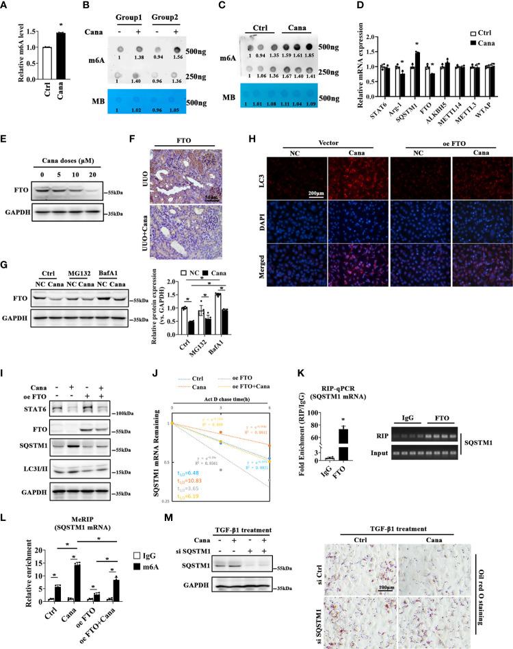 https://cdn.ncbi.nlm.nih.gov/pmc/blobs/5ae1/9845768/4663e89cb7b2/fimmu-13-1094556-g006.jpg