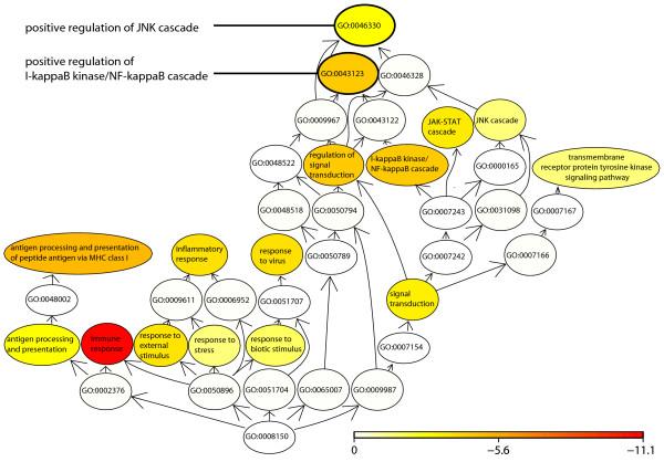 https://cdn.ncbi.nlm.nih.gov/pmc/blobs/5ae4/2873473/e99081df2479/1471-2164-11-241-4.jpg
