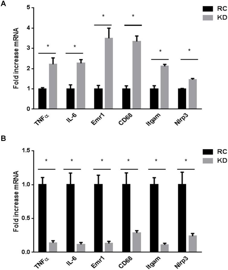 https://cdn.ncbi.nlm.nih.gov/pmc/blobs/5ae4/4431718/91aa01f58bc1/pone.0126364.g003.jpg