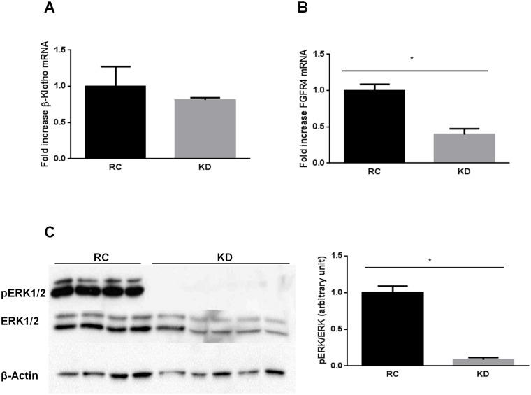https://cdn.ncbi.nlm.nih.gov/pmc/blobs/5ae4/4431718/b445e55f245e/pone.0126364.g001.jpg