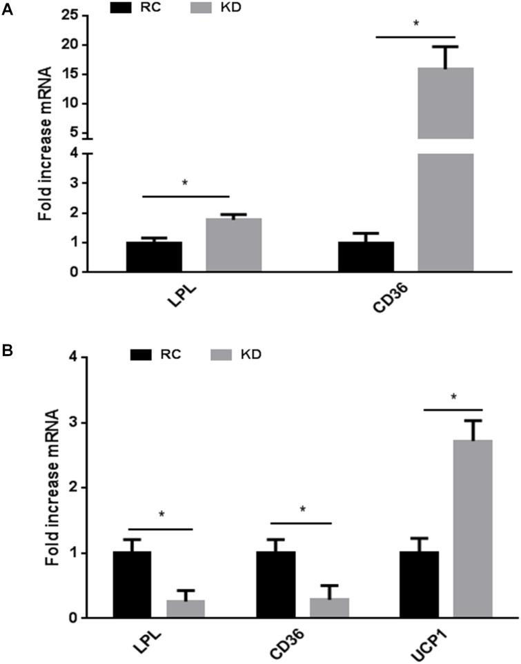 https://cdn.ncbi.nlm.nih.gov/pmc/blobs/5ae4/4431718/df66f185b74d/pone.0126364.g004.jpg