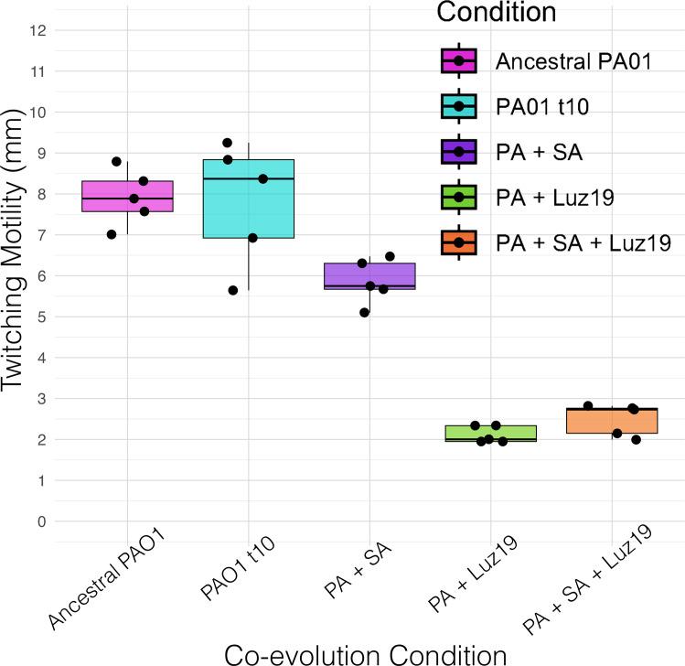 https://cdn.ncbi.nlm.nih.gov/pmc/blobs/5ae5/12211013/aa91fbc8328b/spectrum.02882-24.f001.jpg