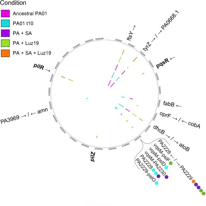 https://cdn.ncbi.nlm.nih.gov/pmc/blobs/5ae5/12211013/d1048989efaf/spectrum.02882-24.f003.jpg