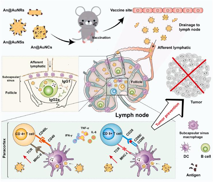 https://cdn.ncbi.nlm.nih.gov/pmc/blobs/5ae7/10501864/0408cc366ce9/gr1.jpg