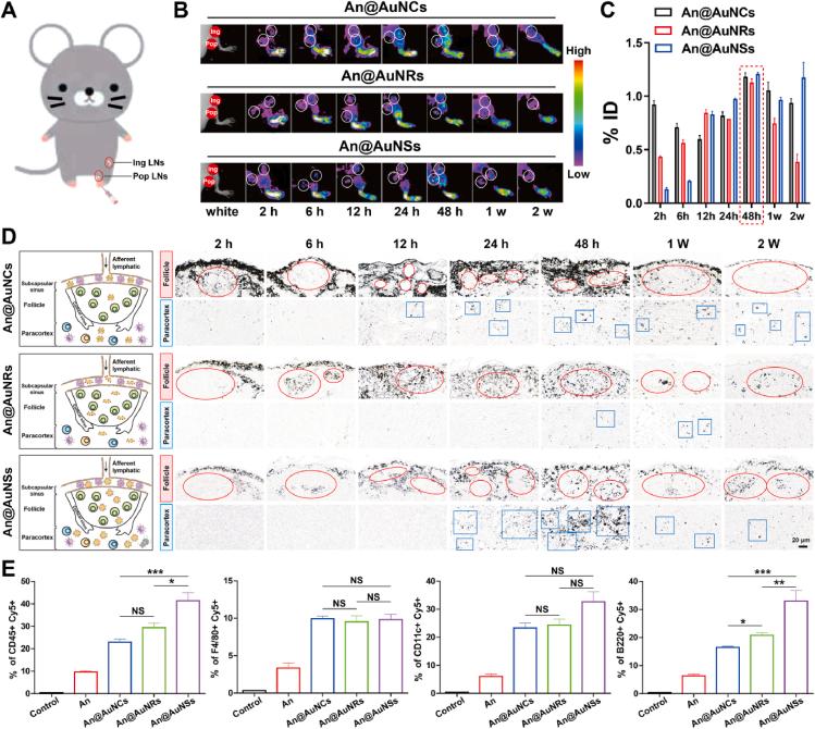 https://cdn.ncbi.nlm.nih.gov/pmc/blobs/5ae7/10501864/4c02f3f421b7/gr4.jpg