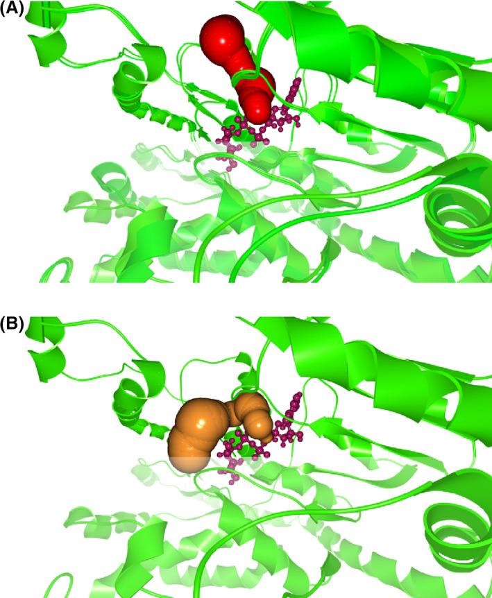 https://cdn.ncbi.nlm.nih.gov/pmc/blobs/5ae7/7264896/dd07bbbce34e/MBT2-13-974-g004.jpg