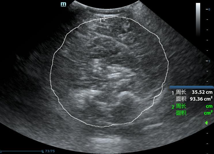 https://cdn.ncbi.nlm.nih.gov/pmc/blobs/5ae8/11796220/dc53a6781816/12877_2025_5733_Fig4_HTML.jpg