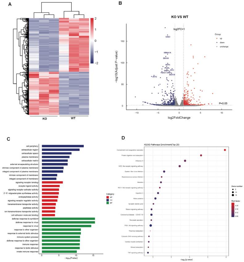https://cdn.ncbi.nlm.nih.gov/pmc/blobs/5aec/12390705/da2130c80d60/viruses-17-01097-g003.jpg