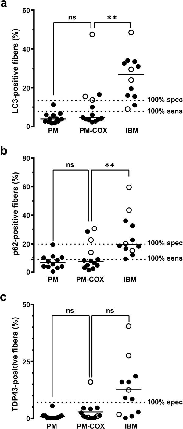https://cdn.ncbi.nlm.nih.gov/pmc/blobs/5aed/3893502/d4c2e13c26cf/2051-5960-1-29-4.jpg