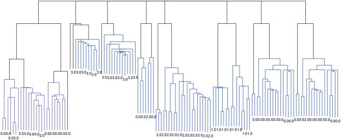 https://cdn.ncbi.nlm.nih.gov/pmc/blobs/5aee/6079194/335bf2cf0a3a/fnagi-10-00230-g0003.jpg