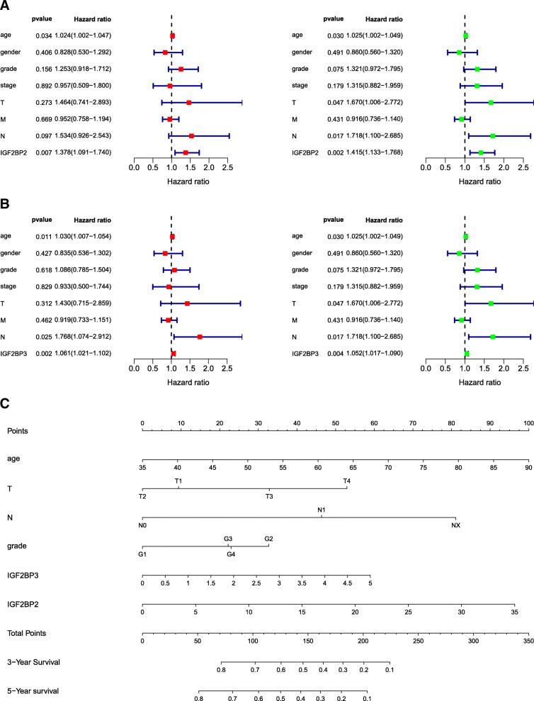 https://cdn.ncbi.nlm.nih.gov/pmc/blobs/5aef/7694419/46a79a9389ed/12885_2020_7590_Fig5_HTML.jpg