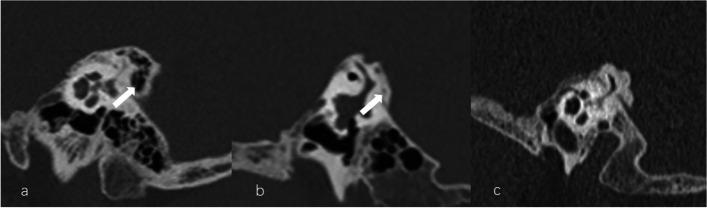 https://cdn.ncbi.nlm.nih.gov/pmc/blobs/5af2/11034041/291c392d28a2/12880_2024_1275_Fig4_HTML.jpg