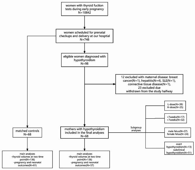 https://cdn.ncbi.nlm.nih.gov/pmc/blobs/5af3/12090525/ada96d68fb56/12884_2025_7714_Fig1_HTML.jpg