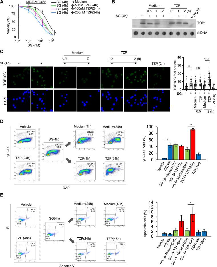 https://cdn.ncbi.nlm.nih.gov/pmc/blobs/5af4/11247314/919f694cc6bf/ccr-24-0428_f1.jpg