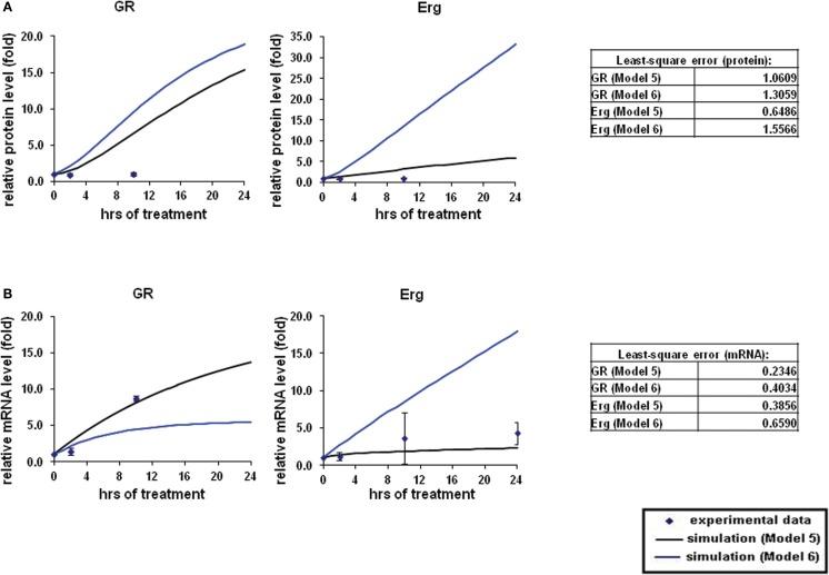 https://cdn.ncbi.nlm.nih.gov/pmc/blobs/5af4/3500877/c500b8ed270c/fphys-03-00410-g006.jpg