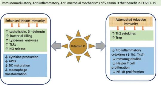 https://cdn.ncbi.nlm.nih.gov/pmc/blobs/5af4/8641745/90539122e3d8/IJPharm-53-394-g002.jpg