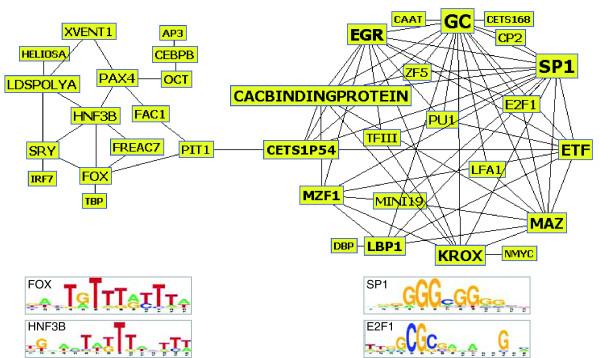 https://cdn.ncbi.nlm.nih.gov/pmc/blobs/5af6/2246259/975f1ac1ab1f/gb-2007-8-12-r257-7.jpg
