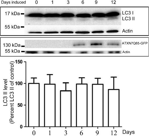 https://cdn.ncbi.nlm.nih.gov/pmc/blobs/5af7/3360856/c9e68e169d32/12031_2012_9722_Fig7_HTML.jpg