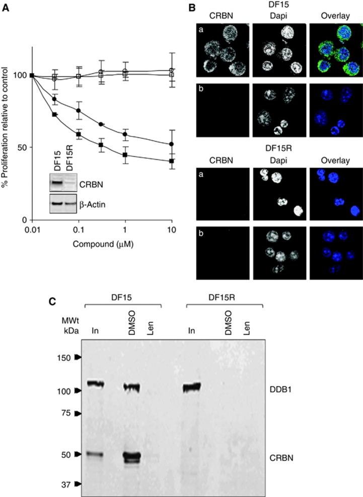 https://cdn.ncbi.nlm.nih.gov/pmc/blobs/5af7/3496085/d2b215cff929/leu2012119f6.jpg