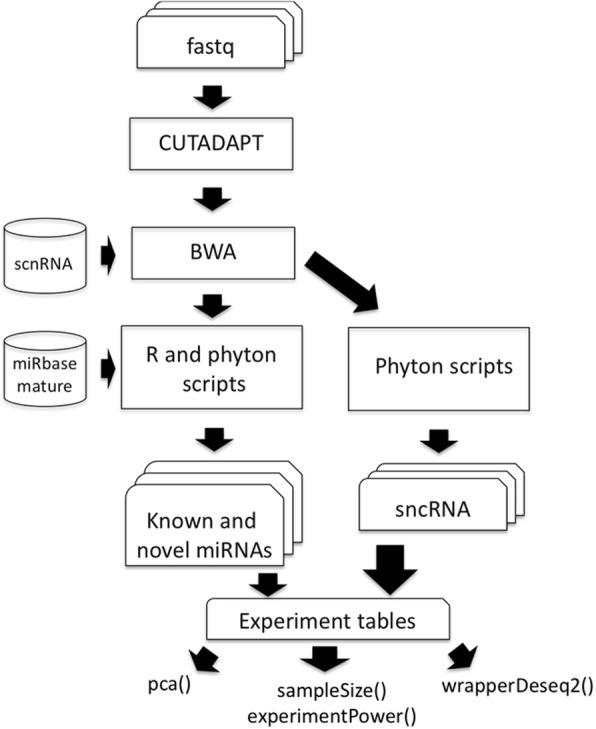 https://cdn.ncbi.nlm.nih.gov/pmc/blobs/5af8/6191970/bc68cd7246ab/12859_2018_2296_Fig5_HTML.jpg
