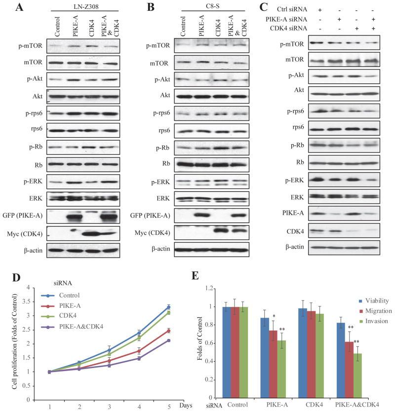 https://cdn.ncbi.nlm.nih.gov/pmc/blobs/5af9/5552418/1e44bc754d5f/nihms852365f6.jpg