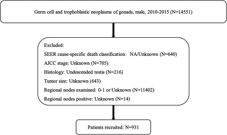 https://cdn.ncbi.nlm.nih.gov/pmc/blobs/5aff/7816529/112685c6343e/10.1177_1533033820979702-fig1.jpg