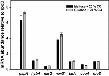 https://cdn.ncbi.nlm.nih.gov/pmc/blobs/5b02/5371261/005955af505a/13068_2017_770_Fig3_HTML.jpg