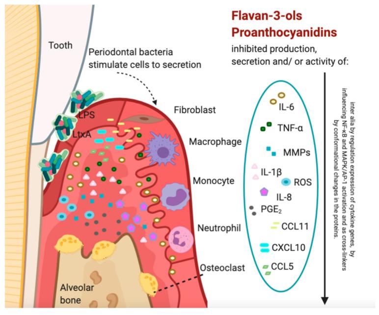 https://cdn.ncbi.nlm.nih.gov/pmc/blobs/5b02/7830097/19877102db91/nutrients-13-00239-g001.jpg