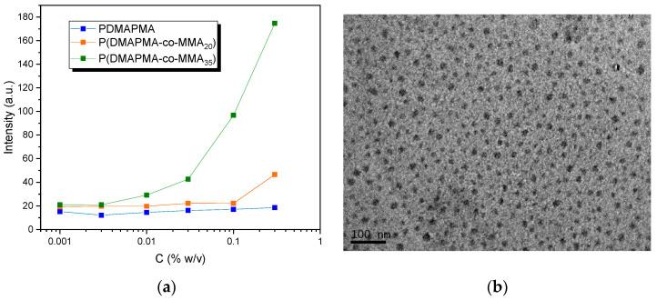 https://cdn.ncbi.nlm.nih.gov/pmc/blobs/5b04/12299032/519017c5be4b/polymers-17-01896-g005.jpg