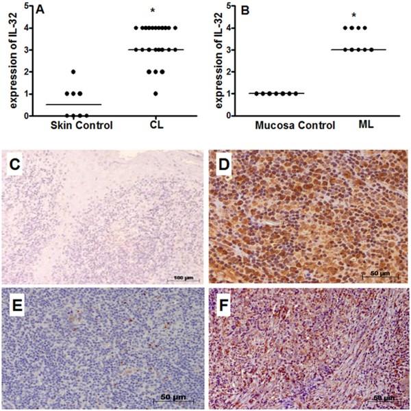 https://cdn.ncbi.nlm.nih.gov/pmc/blobs/5b05/4026597/2fc15e2bc9ce/1471-2334-14-249-1.jpg