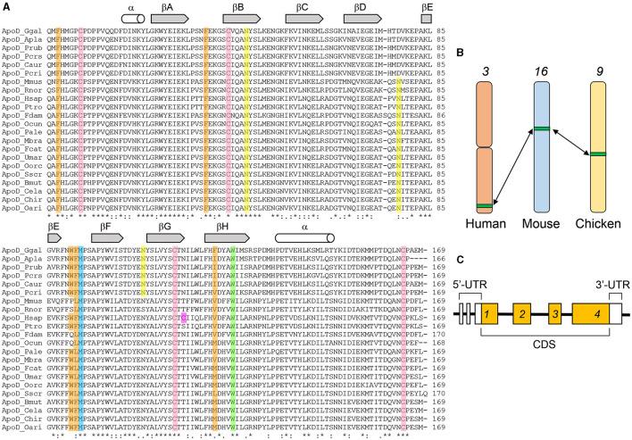 https://cdn.ncbi.nlm.nih.gov/pmc/blobs/5b05/8530192/2b6508a2cba1/fphys-12-738991-g0002.jpg