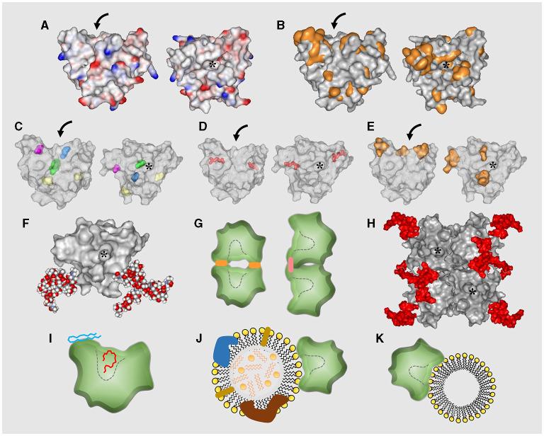 https://cdn.ncbi.nlm.nih.gov/pmc/blobs/5b05/8530192/52f53c6cdf21/fphys-12-738991-g0003.jpg