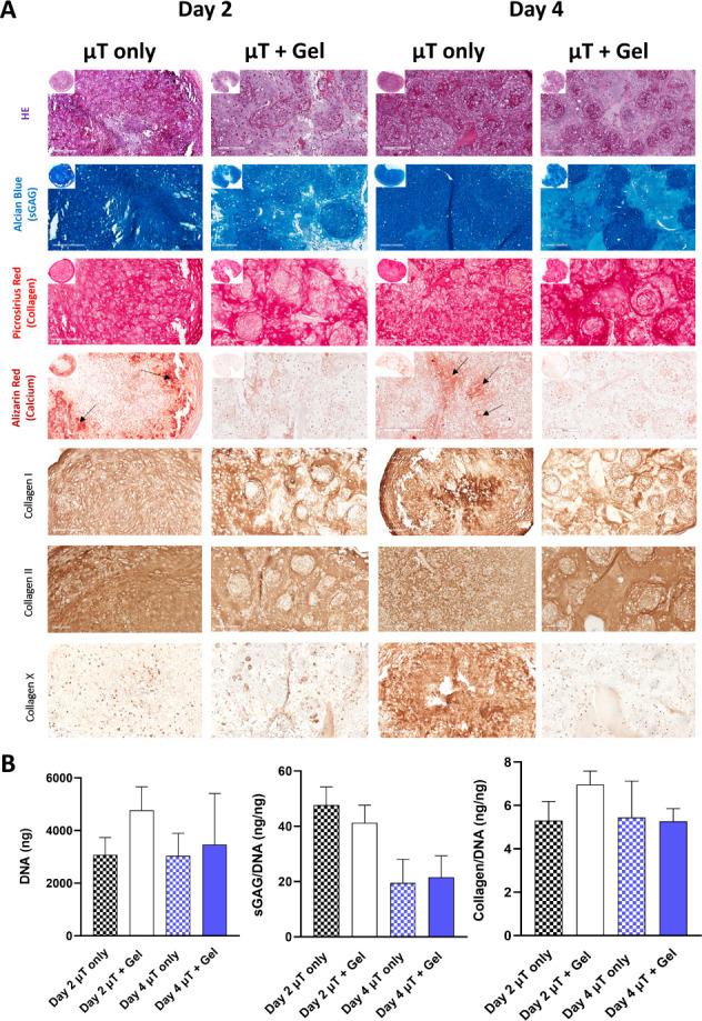 https://cdn.ncbi.nlm.nih.gov/pmc/blobs/5b06/11480940/6d5573976ac5/ab4c00819_0002.jpg