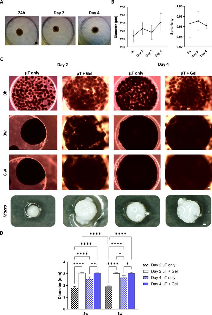 https://cdn.ncbi.nlm.nih.gov/pmc/blobs/5b06/11480940/987c32f40188/ab4c00819_0001.jpg