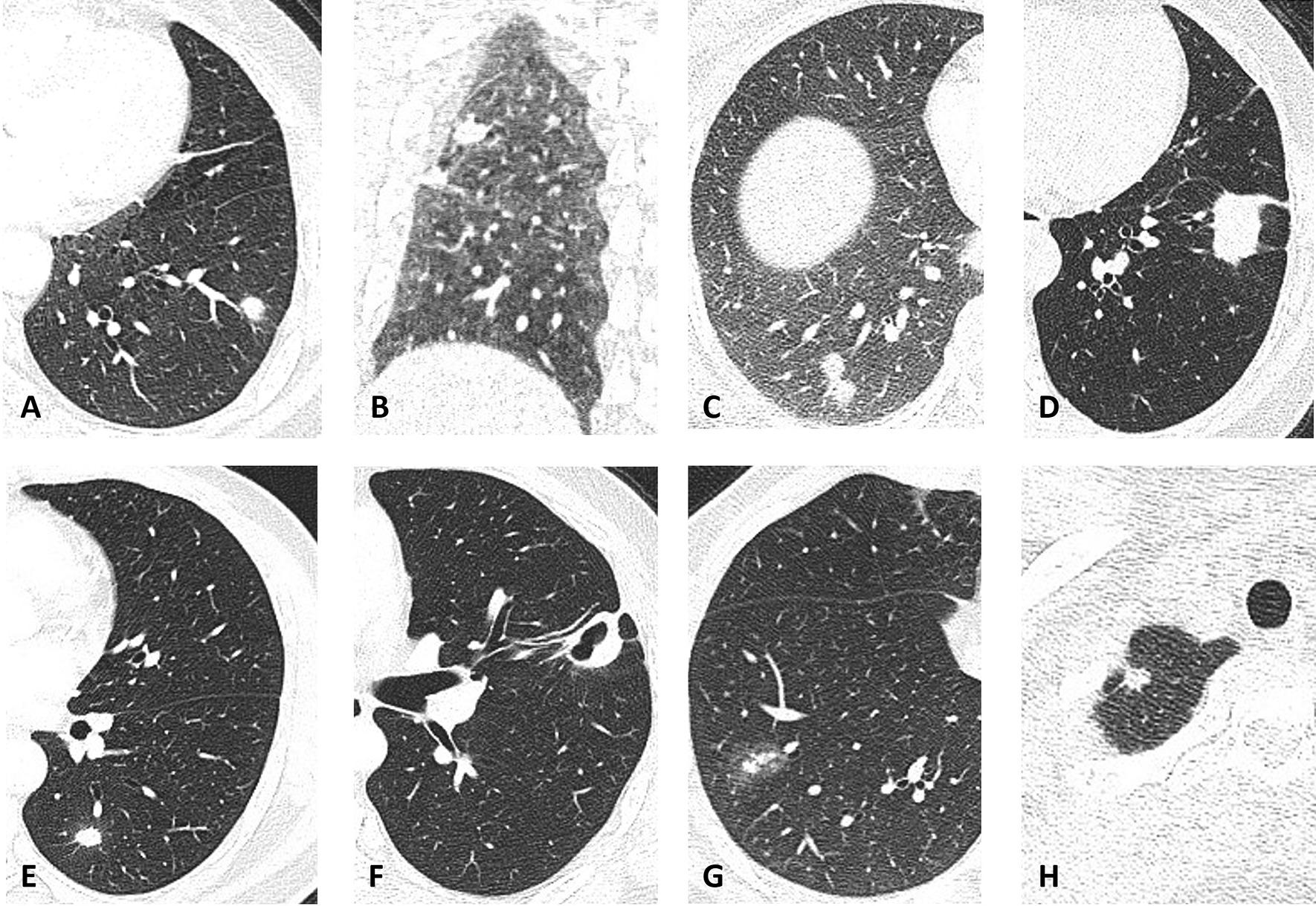 https://cdn.ncbi.nlm.nih.gov/pmc/blobs/5b06/8361630/e613d194598a/12890_2021_1630_Fig1_HTML.jpg