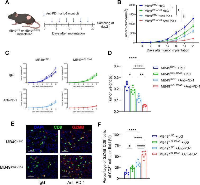 https://cdn.ncbi.nlm.nih.gov/pmc/blobs/5b07/12145344/bab1088a7a07/262_2025_4074_Fig5_HTML.jpg