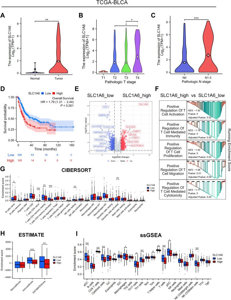 https://cdn.ncbi.nlm.nih.gov/pmc/blobs/5b07/12145344/d2873abf6953/262_2025_4074_Fig3_HTML.jpg