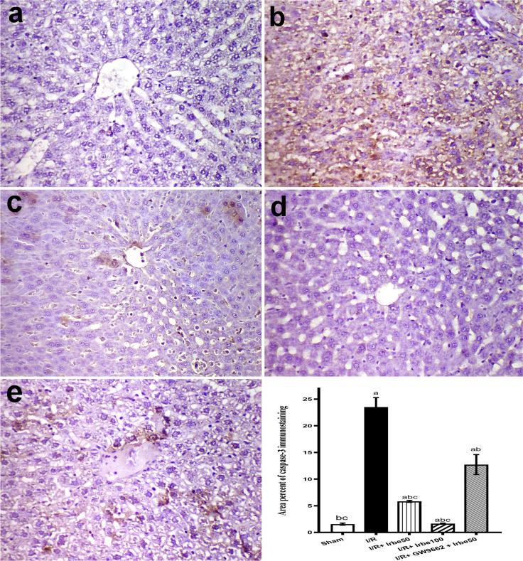 https://cdn.ncbi.nlm.nih.gov/pmc/blobs/5b08/11825560/2c0c9733e347/210_2024_3301_Fig5_HTML.jpg