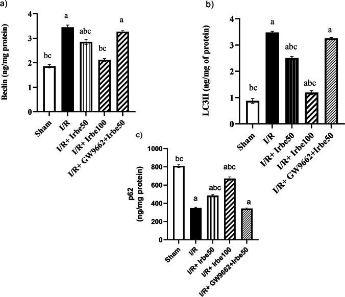 https://cdn.ncbi.nlm.nih.gov/pmc/blobs/5b08/11825560/8e8cae72438d/210_2024_3301_Fig2_HTML.jpg