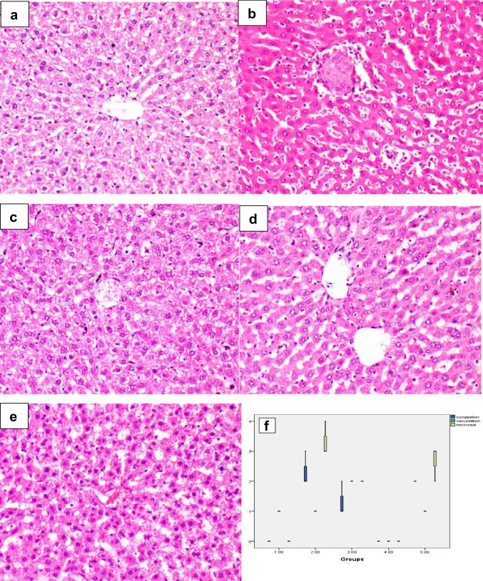 https://cdn.ncbi.nlm.nih.gov/pmc/blobs/5b08/11825560/ca09dc947df8/210_2024_3301_Fig3_HTML.jpg