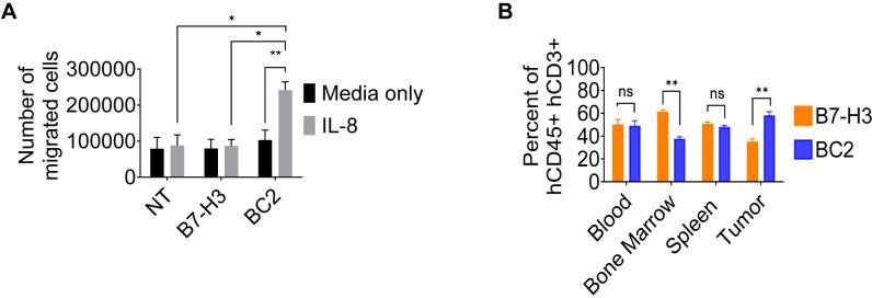 https://cdn.ncbi.nlm.nih.gov/pmc/blobs/5b09/11268054/14d265d1d860/jitc-12-7-g004.jpg