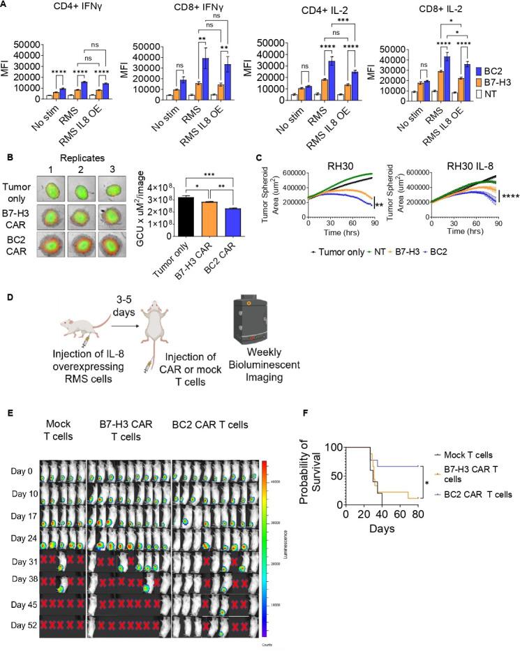 https://cdn.ncbi.nlm.nih.gov/pmc/blobs/5b09/11268054/22a39b906631/jitc-12-7-g005.jpg
