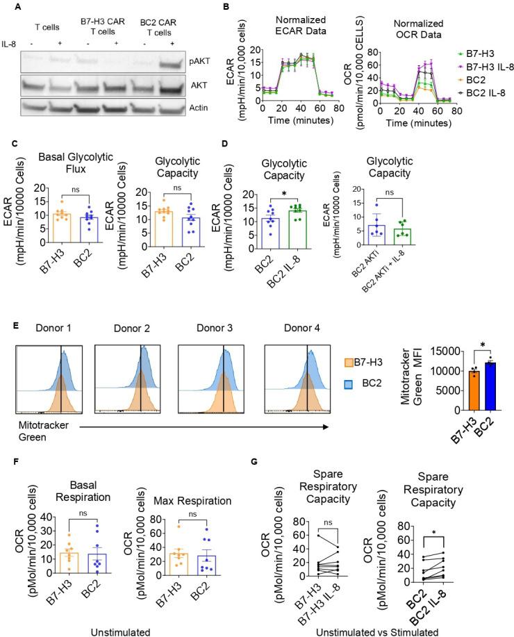 https://cdn.ncbi.nlm.nih.gov/pmc/blobs/5b09/11268054/61eadfde7bdb/jitc-12-7-g006.jpg
