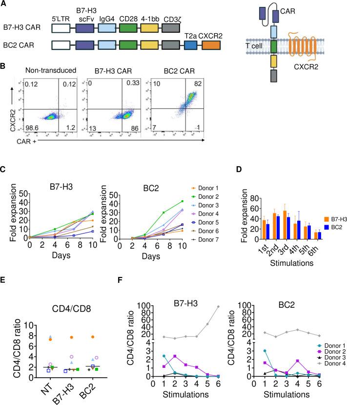 https://cdn.ncbi.nlm.nih.gov/pmc/blobs/5b09/11268054/6449c904ed49/jitc-12-7-g002.jpg