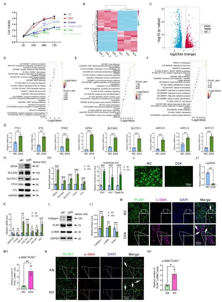 https://cdn.ncbi.nlm.nih.gov/pmc/blobs/5b09/12374836/cb52d878cd25/ijbsv21p5097g003.jpg
