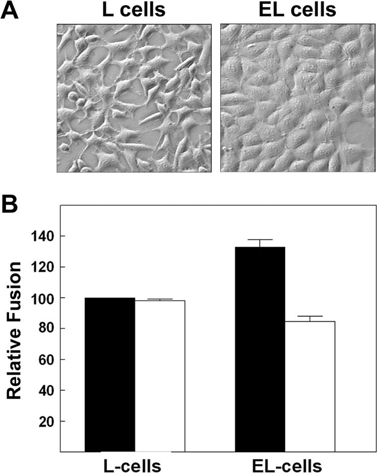 https://cdn.ncbi.nlm.nih.gov/pmc/blobs/5b09/2267009/e6f266648154/ppat.1000016.g006.jpg