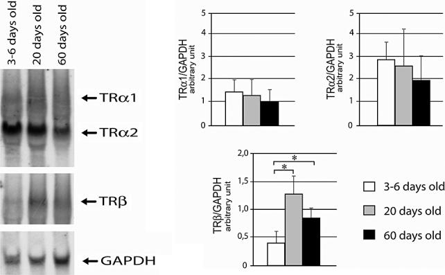 https://cdn.ncbi.nlm.nih.gov/pmc/blobs/5b0a/3017743/58807b0173b3/jsm0007-1381-f2.jpg
